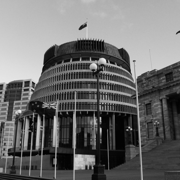 Advocacy - Our work | Platform Trust